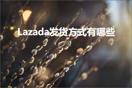 跨境电商知识:Lazada发货方式有哪些