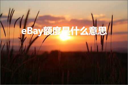 璺ㄥ鐢靛晢鐭ヨ瘑:eBay棰濆害鏄粈涔堟剰鎬? width=