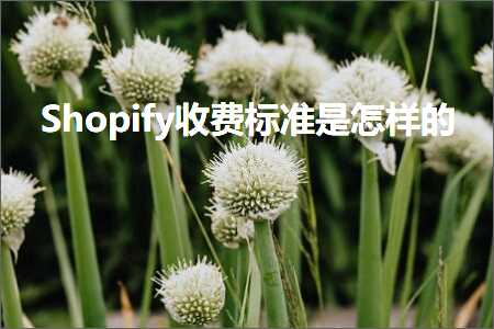 跨境电商知识:Shopify收费标准是怎样的