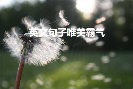 鎯呬荆绛惧悕骞哥鍞編鍙ュ瓙锛堟枃妗?24鏉★級