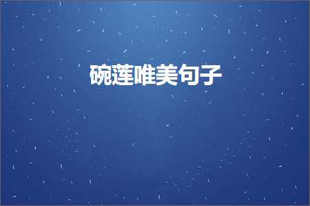 褰㈠鍚婂潬鐨勫敮缇庡彞瀛愶紙鏂囨540鏉★級