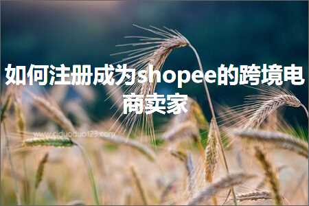 跨境电商知识:如何注册成为shopee的跨境电商卖家