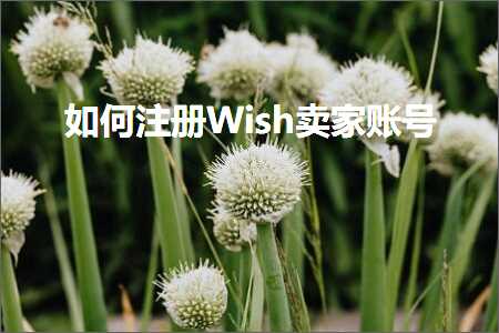 跨境电商知识:如何注册Wish卖家账号