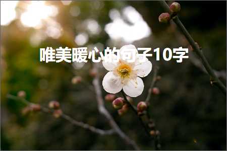 唯美暖心的句子10字（文案384条）