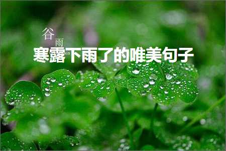 寒露下雨了的唯美句子（文案938条）